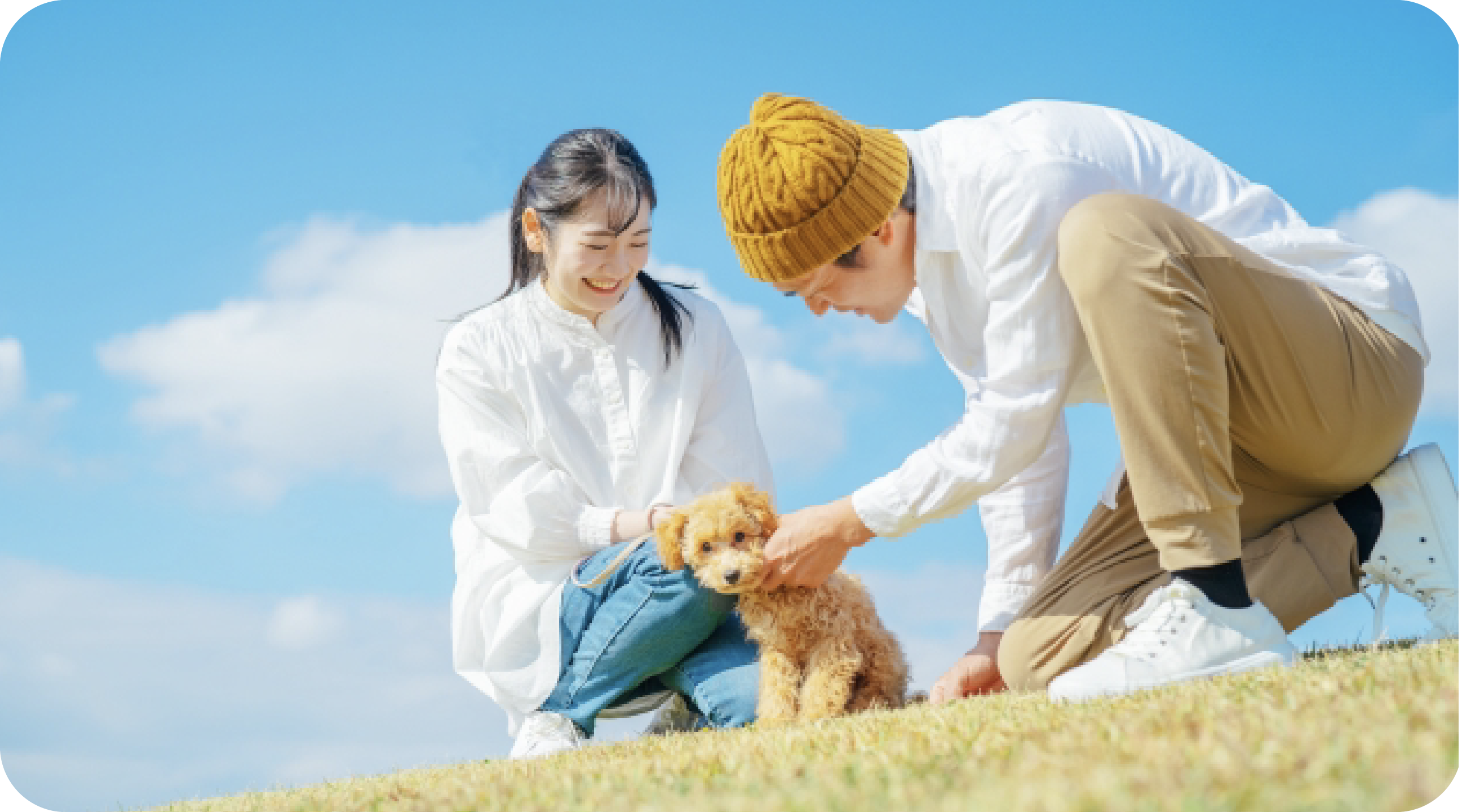 犬と一緒に過ごす家族